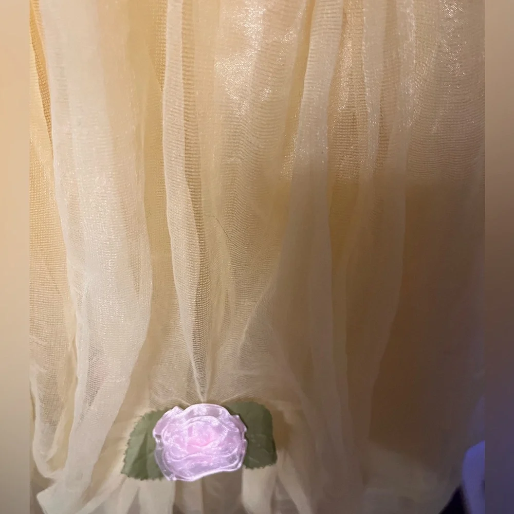 Disney beauty and the beast beast princess dress
